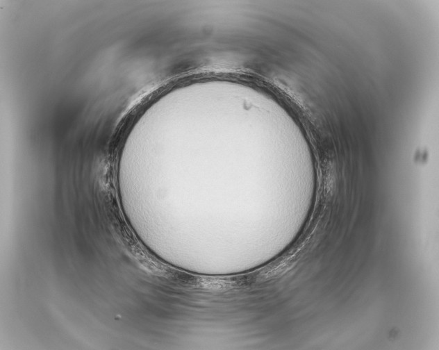 X0000093371258200711011221