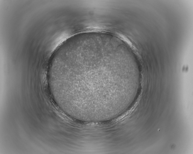 X0000093371259200711011221