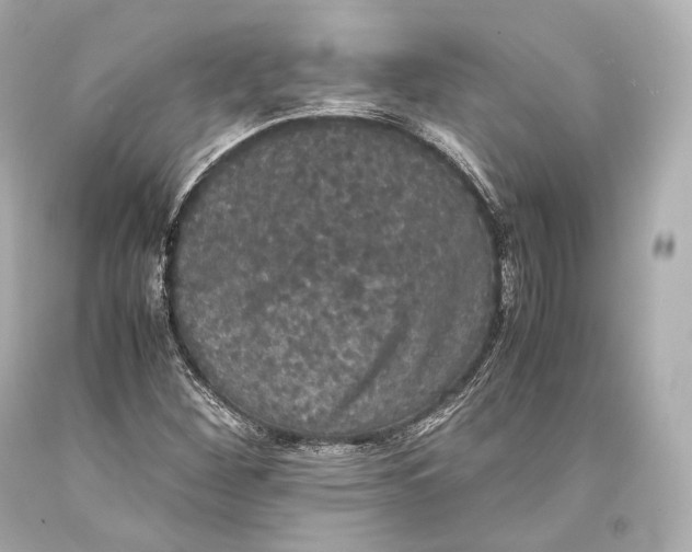 X0000093371260200711011221