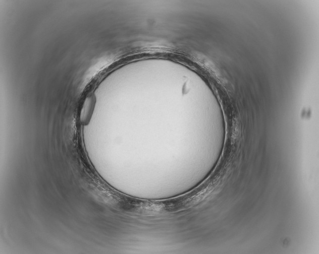 X0000093371261200711011221