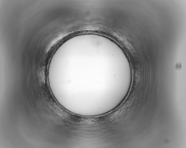 X0000093371262200711011221