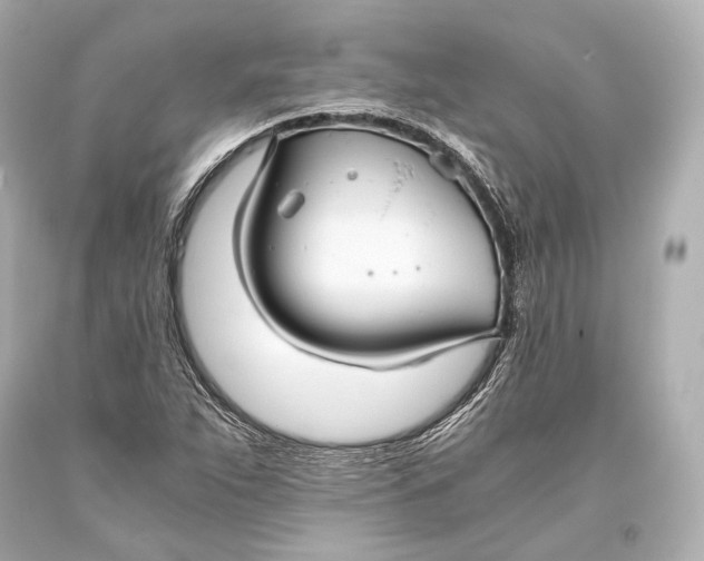 X0000093371263200711011221