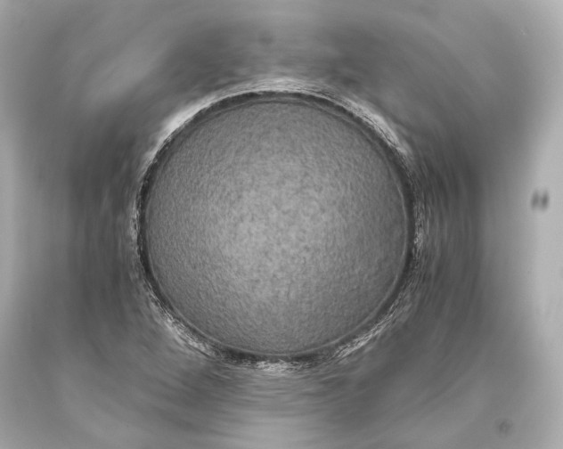 X0000093371264200711011221