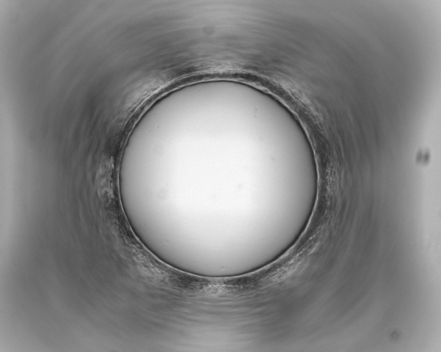 X0000093371265200711011221