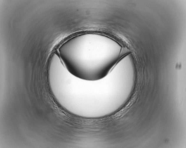 X0000093371267200711011221