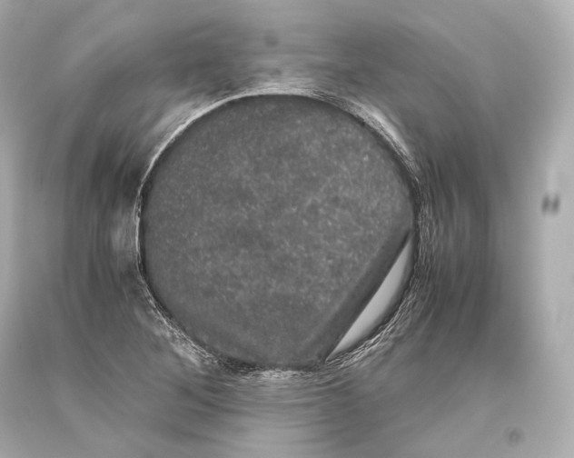 X0000093371268200711011221