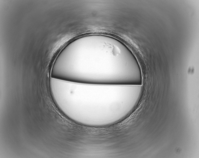 X0000093371269200711011221