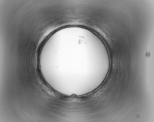 X0000093371270200711011221