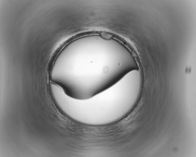 X0000093371271200711011221