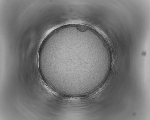 X0000093371272200711011221