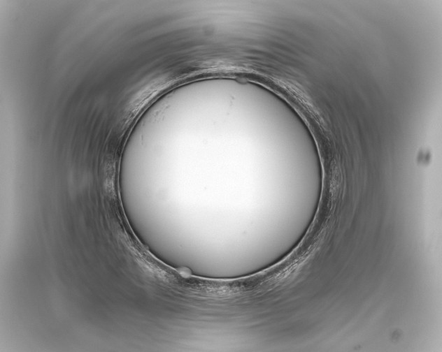 X0000093371273200711011221