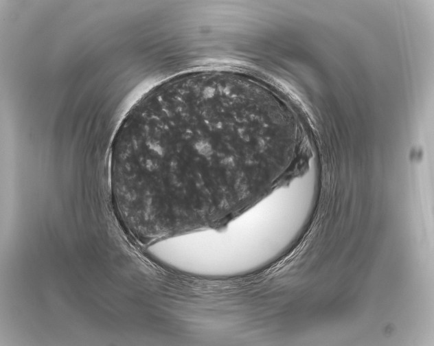 X0000093371275200711011221