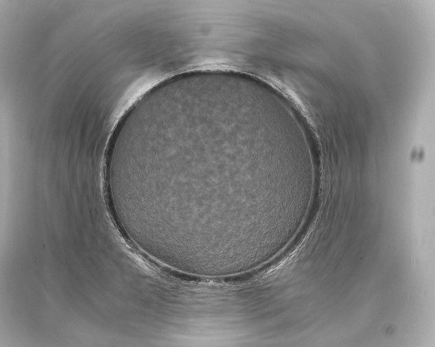 X0000093371277200711011220