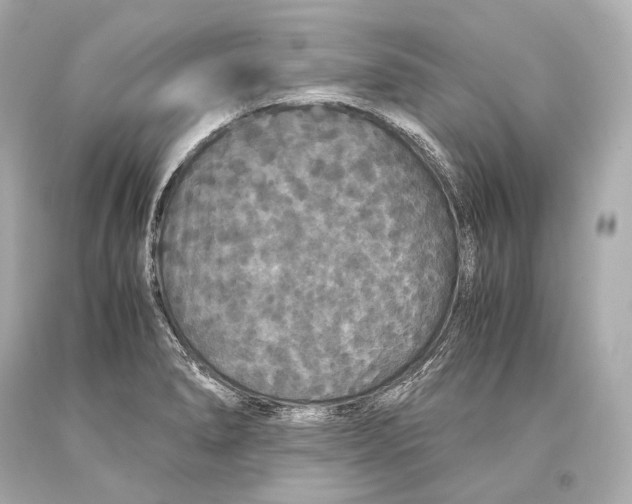 X0000093371278200711011220