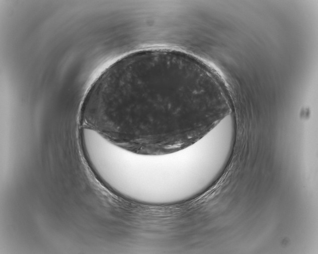 X0000093371279200711011220