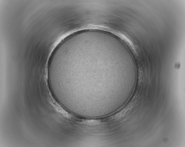 X0000093371280200711011220