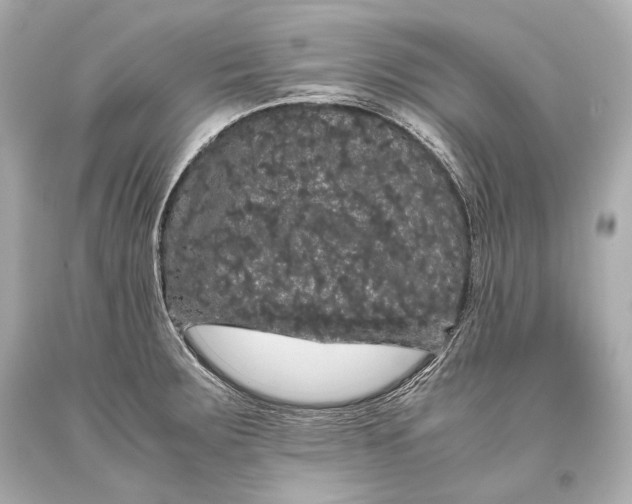 X0000093371283200711011220