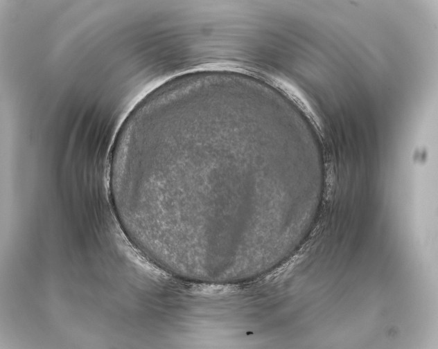 X0000093371284200711011220