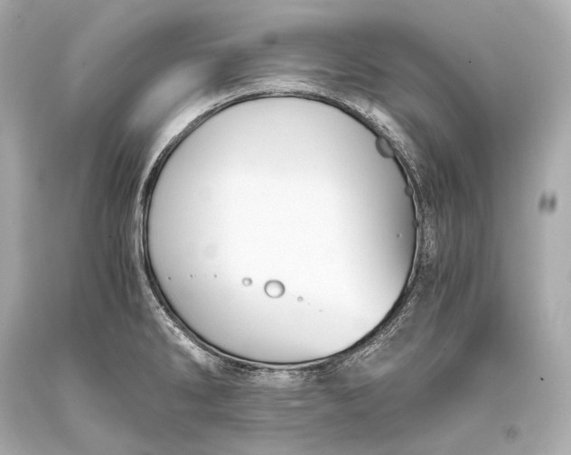 X0000093371286200711011220