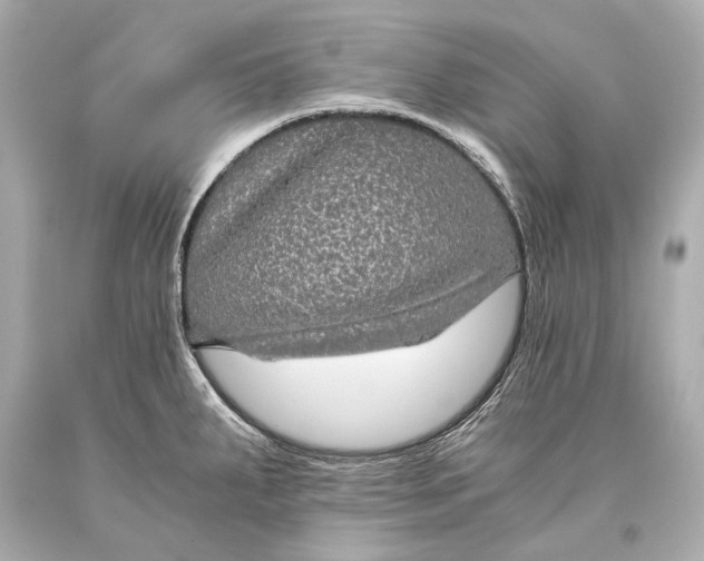 X0000093371287200711011220