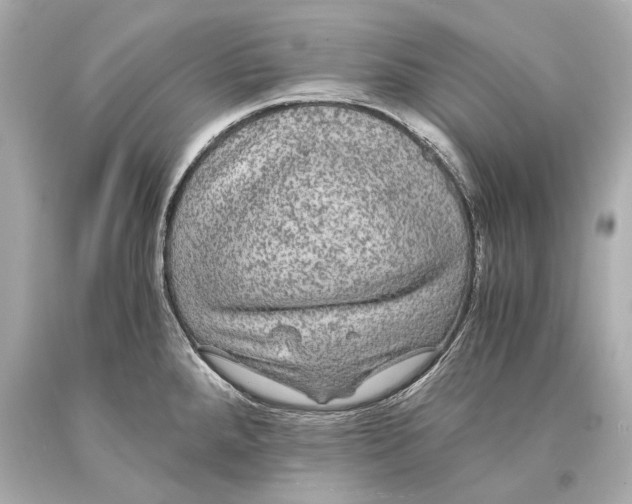 X0000093371288200711011220