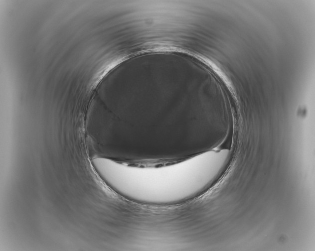 X0000093371289200711011220