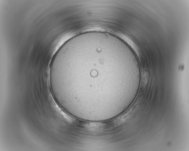 X0000093371290200711011220