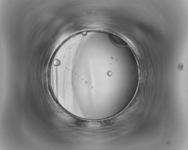 X0000093371291200711011220