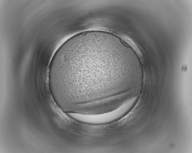 X0000093371292200711011220