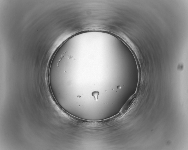 X0000093371293200711011220