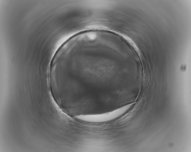 X0000093371295200711011220