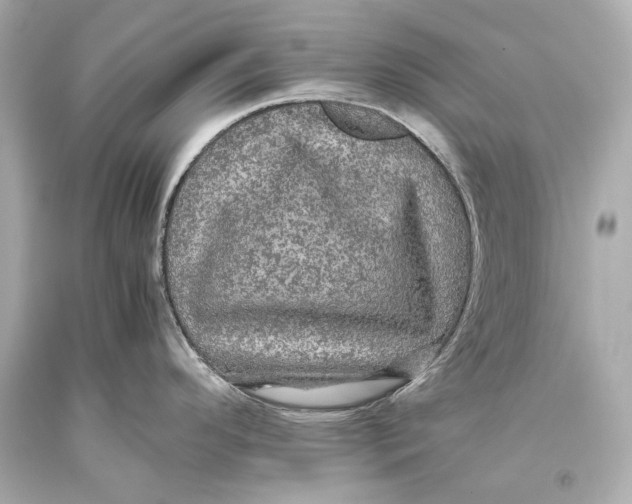 X0000093371296200711011220