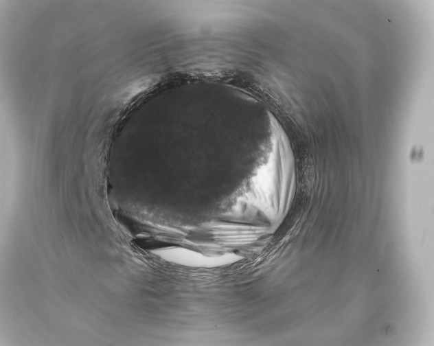 X0000093371297200711011219