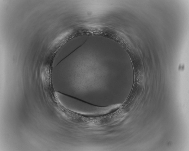 X0000093371298200711011219