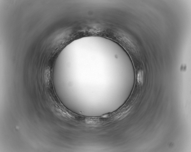 X0000093371299200711011219