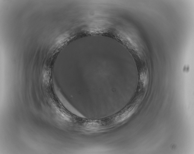 X0000093371300200711011220