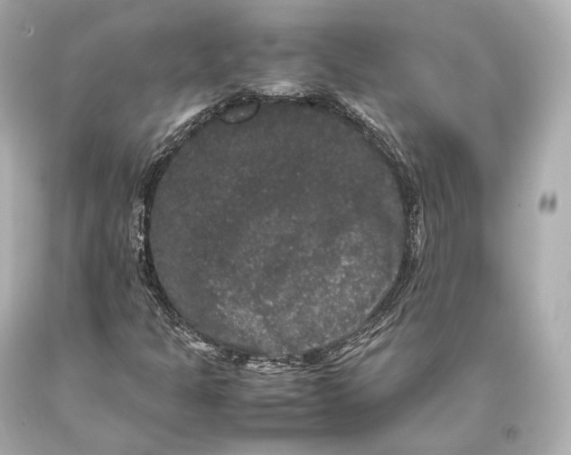 X0000093371301200711011220