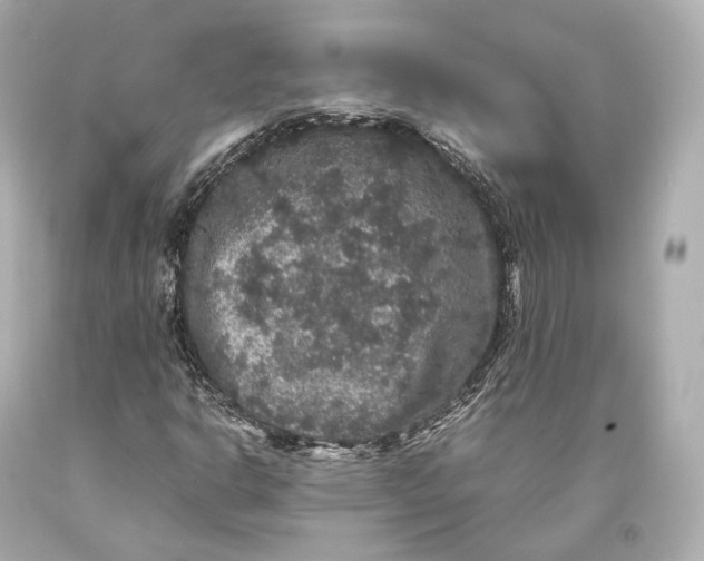 X0000093371302200711011220