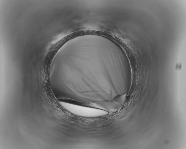 X0000093371303200711011220