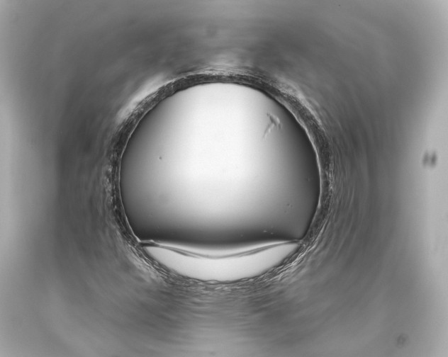 X0000093371304200711011220