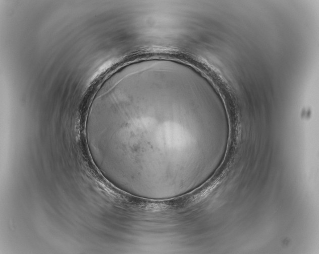 X0000093371306200711011220