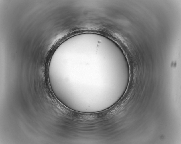 X0000093371307200711011220