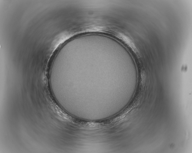 X0000093371308200711011220