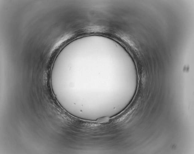 X0000093371309200711011220