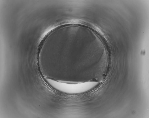 X0000093371312200711011220