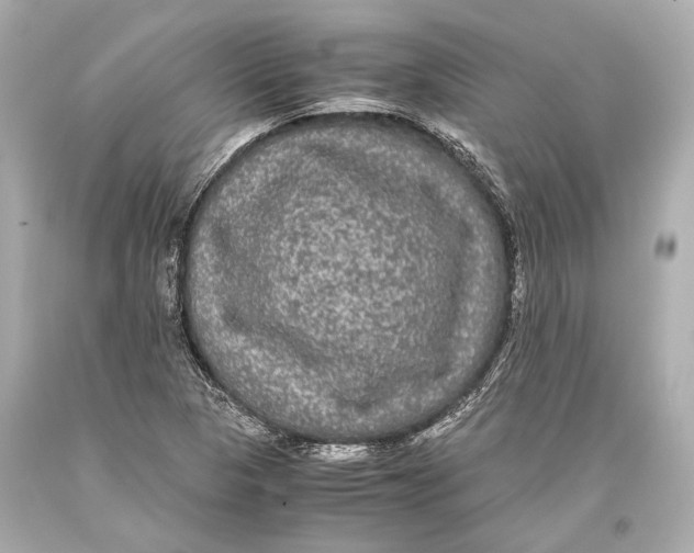 X0000093371313200711011220