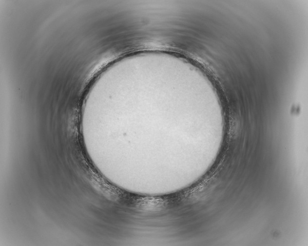 X0000093371314200711011220