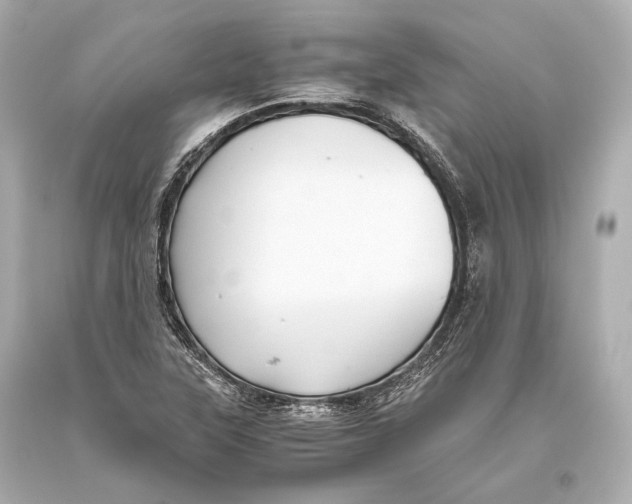 X0000093371315200711011220