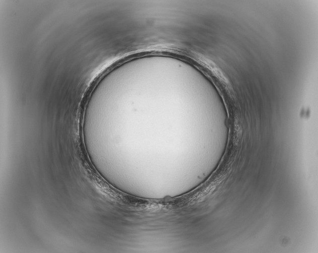 X0000093371316200711011220