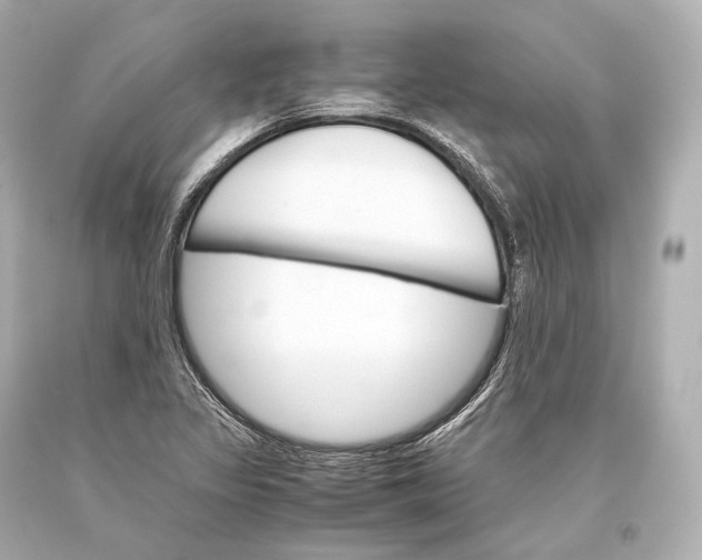 X0000093371317200711011220